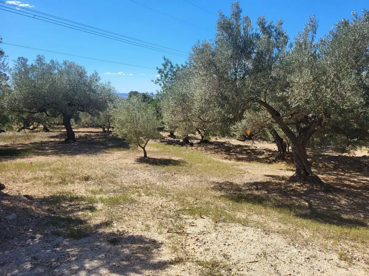 Country house for sale in Bassa del mig, imagen 22