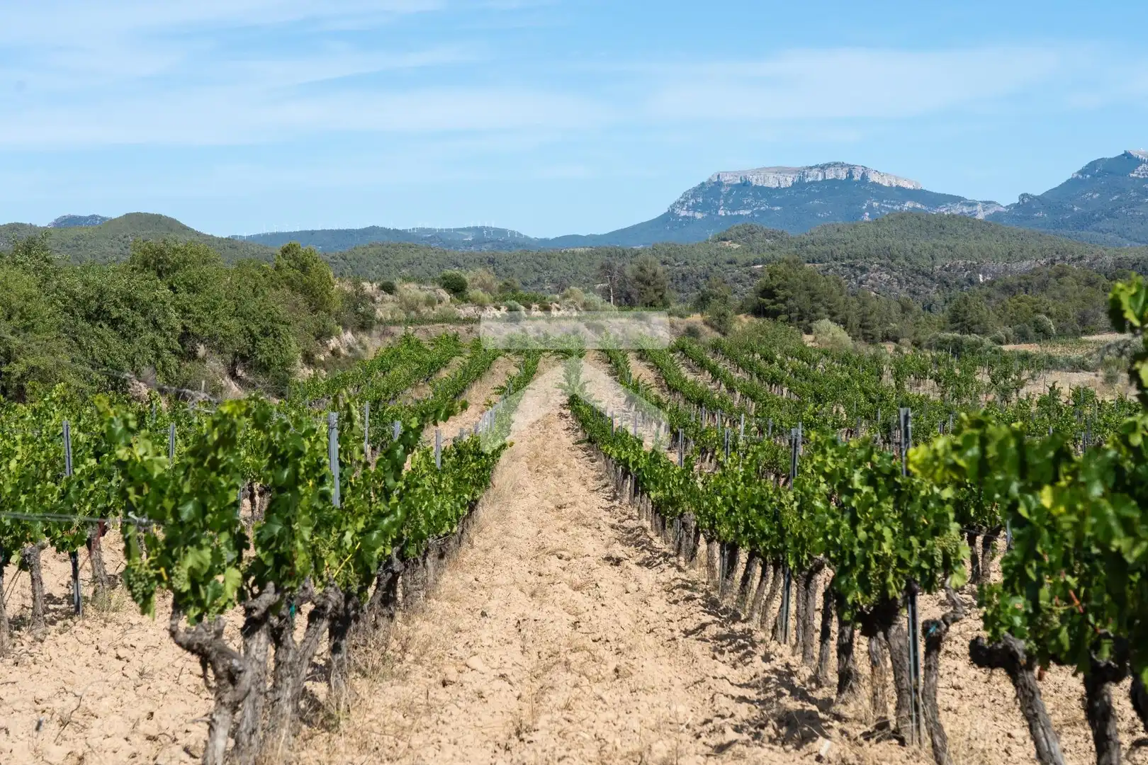 Finca rústica en venda en El Molar (Tarragona) amb Aire condicionat, Calefacció i Jardí privat