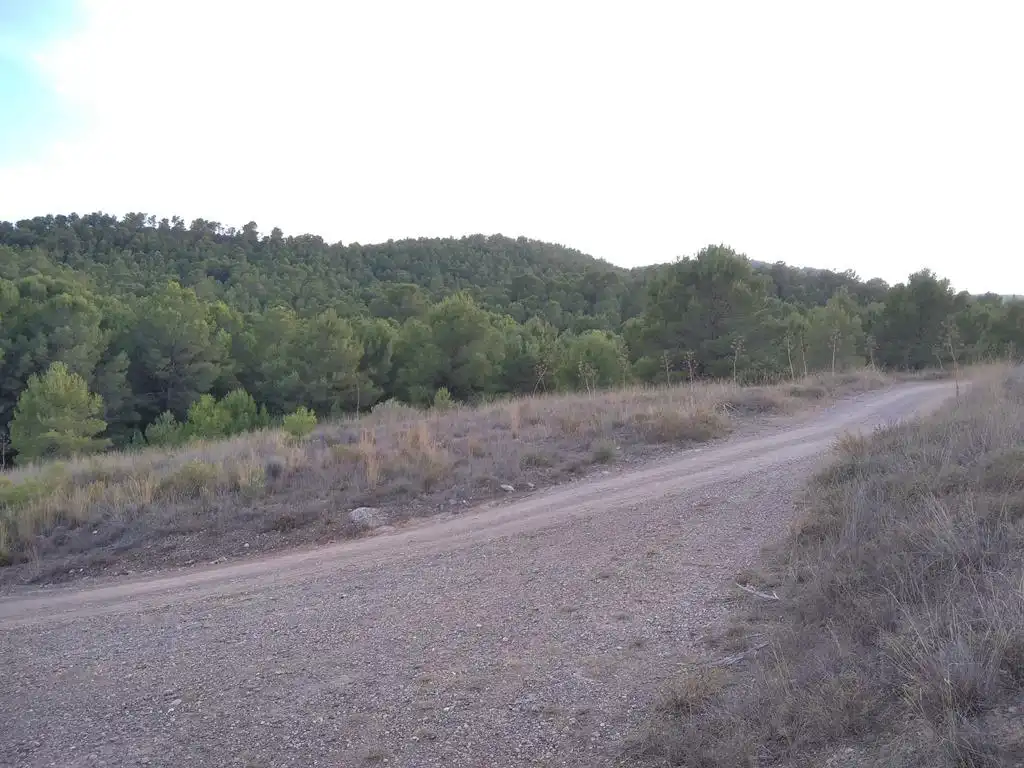 Casa o chalet en venta en Ortillo