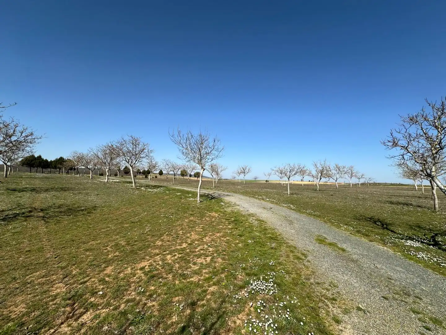 Houses for sale in Arlanzón  with Private garden