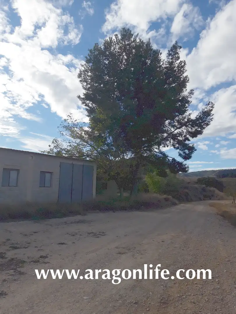 Country house zum Verkauf in Caspe