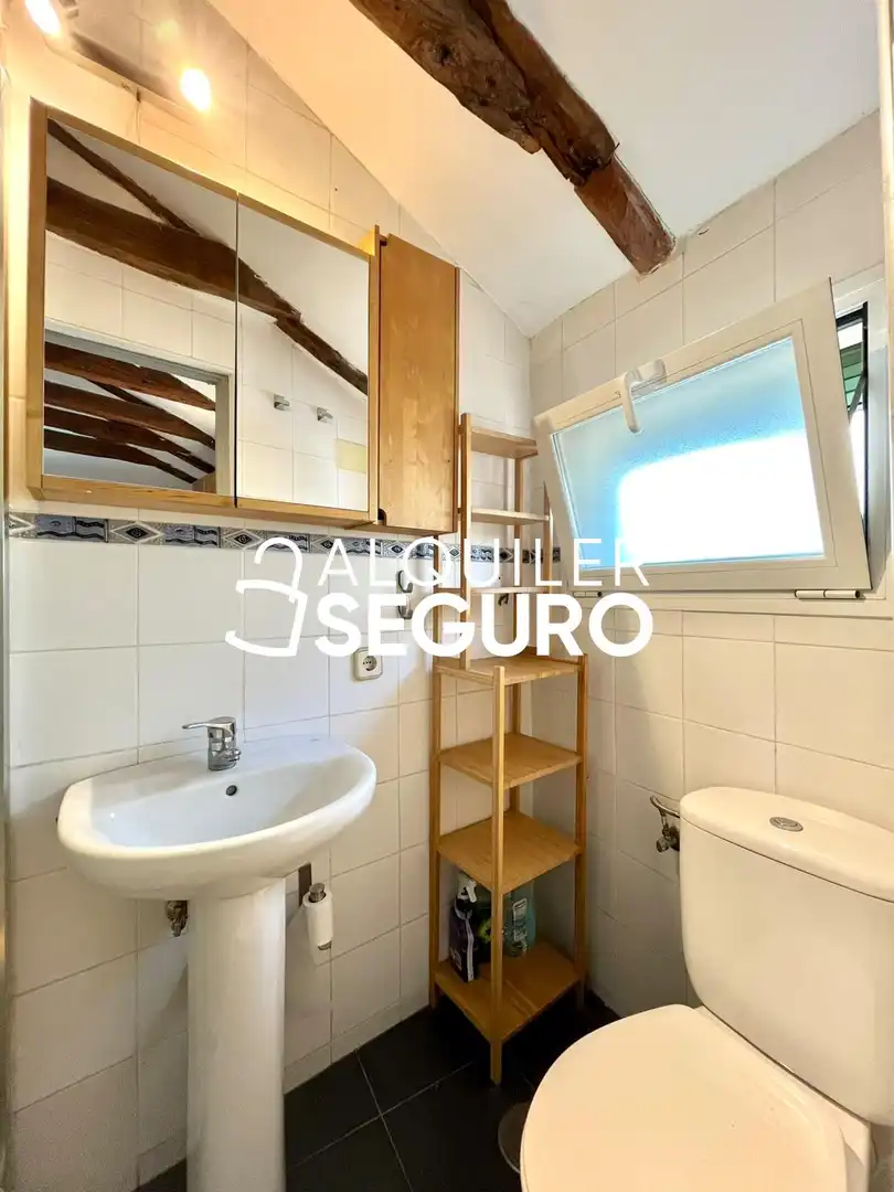 Estudio con ascensor en alquiler en de Zurita, imagen 12