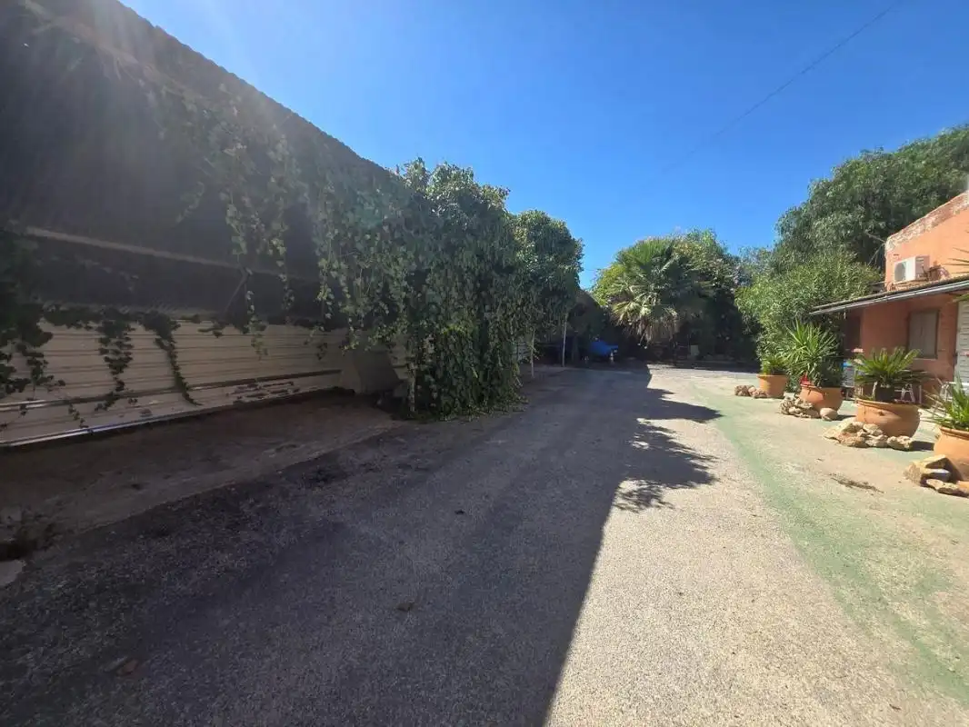 Mixte résidentiel à vendre à Carretera Novelda, imagen 19