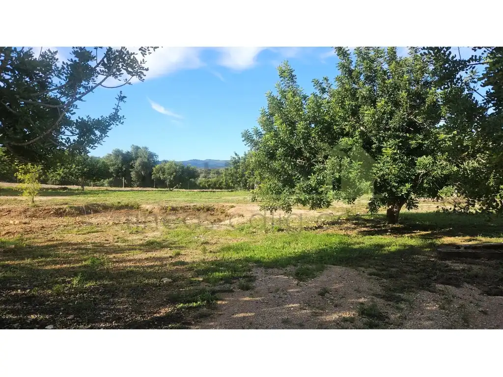 House with garden for sale in Càlig, imagen 40