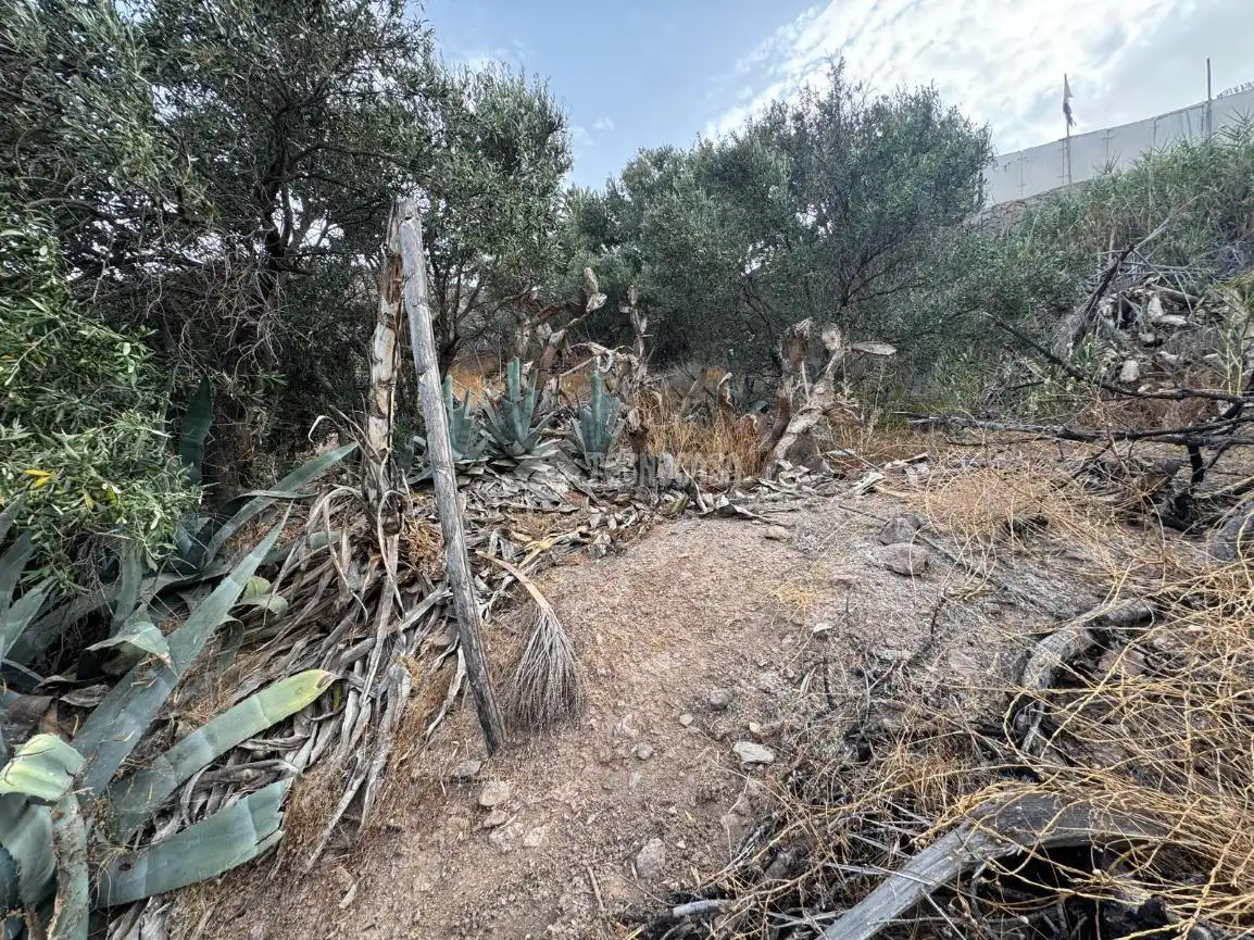 Terreny rústic en venda a Agüimes - Temisas, imagen 6