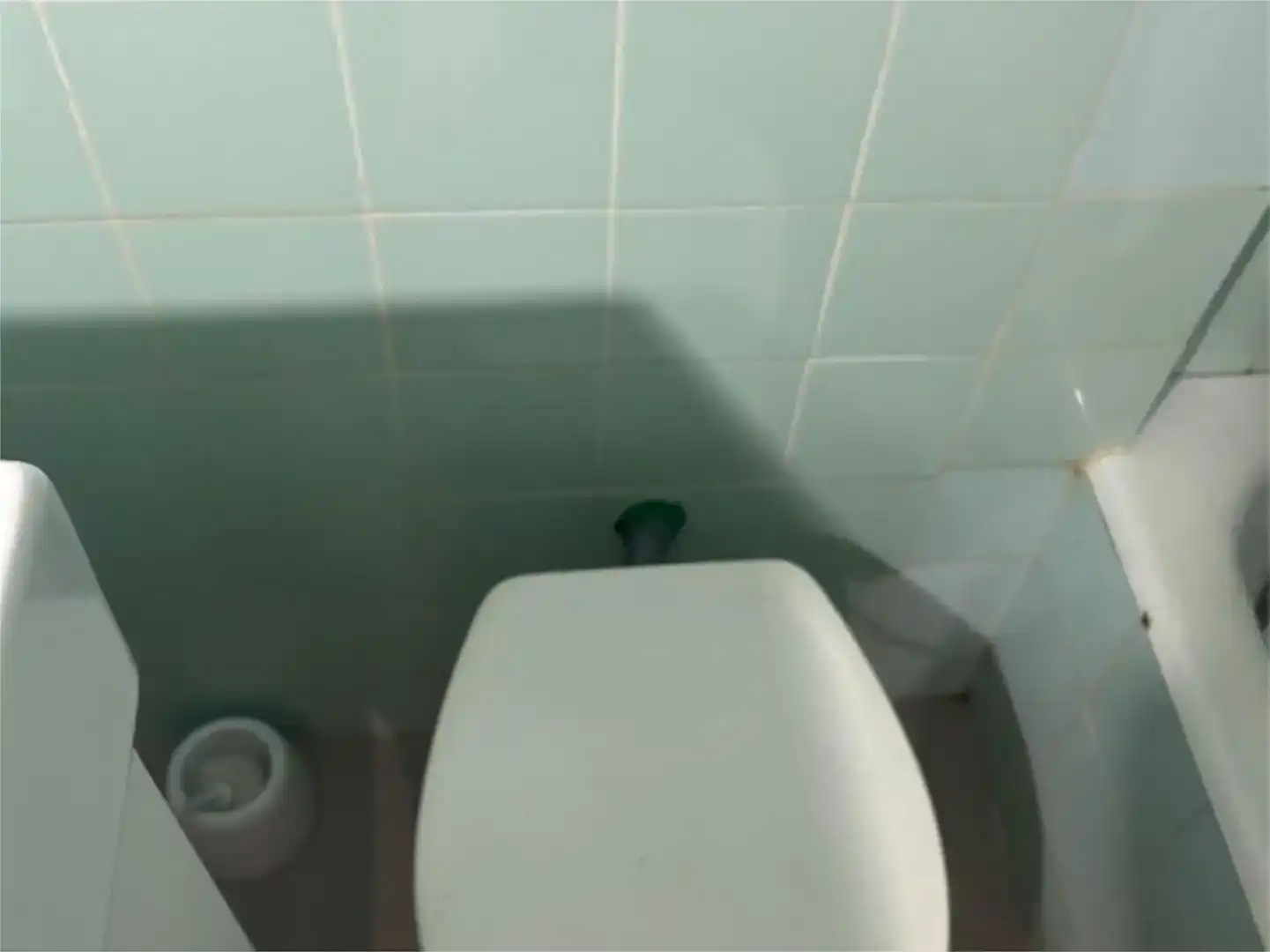 Bany de Estudi de lloguer en Bilbao 