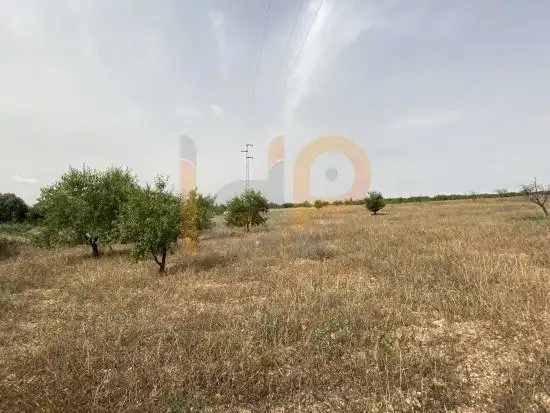 Rural land for sale in Huércal-Overa, imagen 10