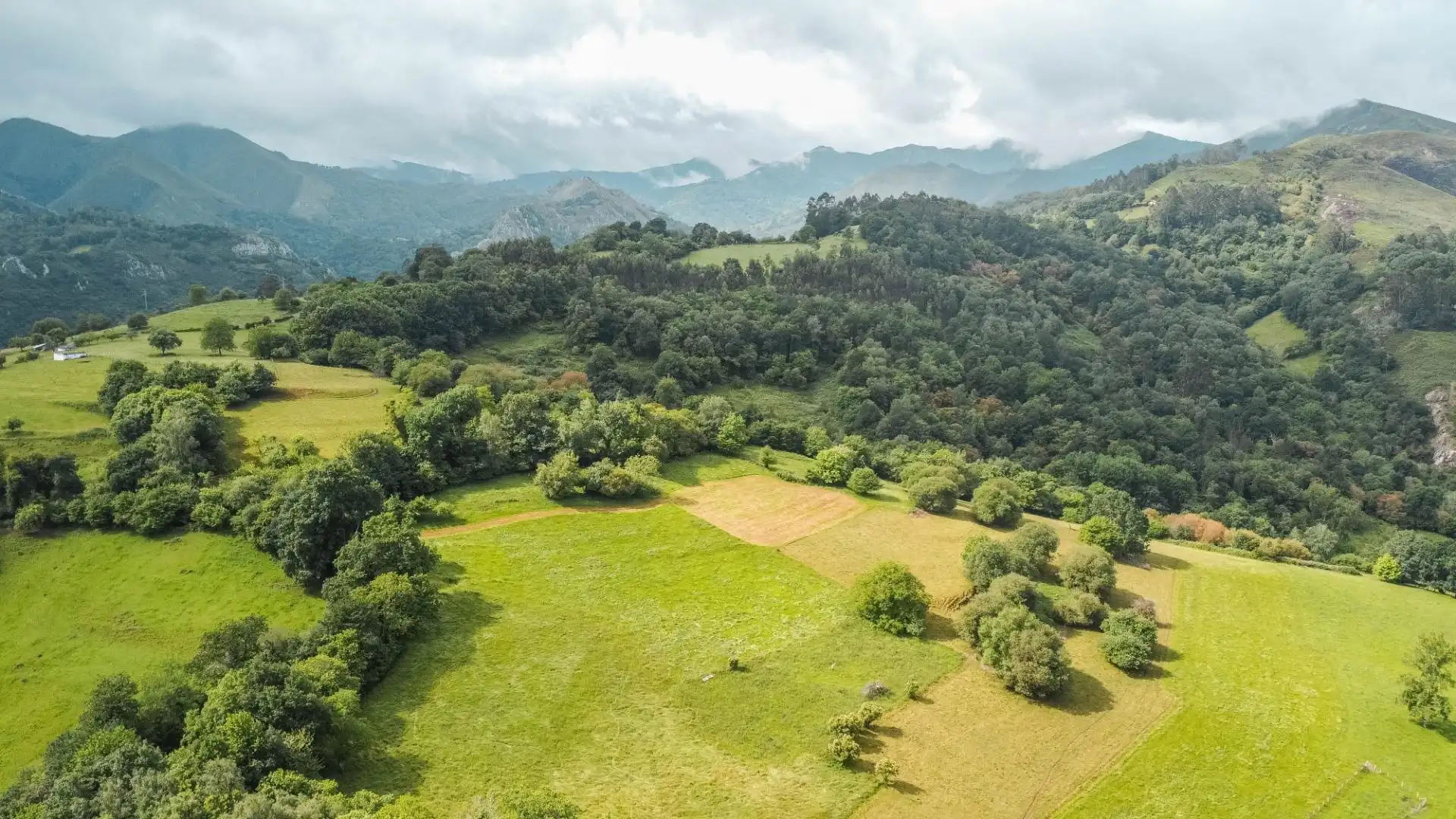 Rural land for sale in Lugar Areñes, imagen 41
