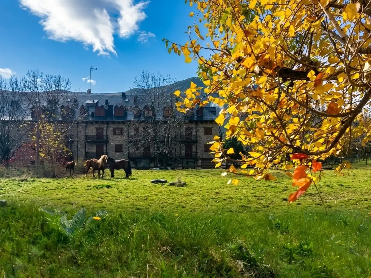 Mini appartamento con terrazza in vendita a La Vall de Boí, imagen 17