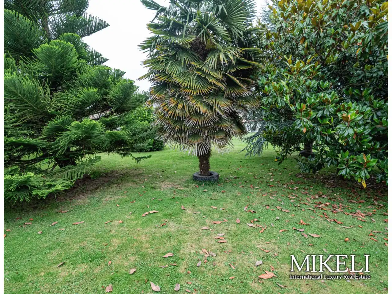 Casa o xalet en venda en El Astillero   amb Calefacció i Jardí privat