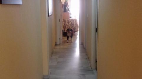 Foto 3 de Casa o xalet per a compartir a Santa Cristina - San Rafael, Málaga Capital