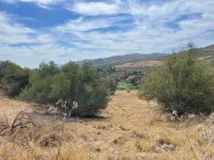 Land for sale in Monda