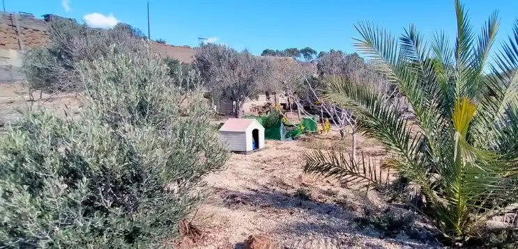 Terreno rustico in vendita a Arico, imagen 15