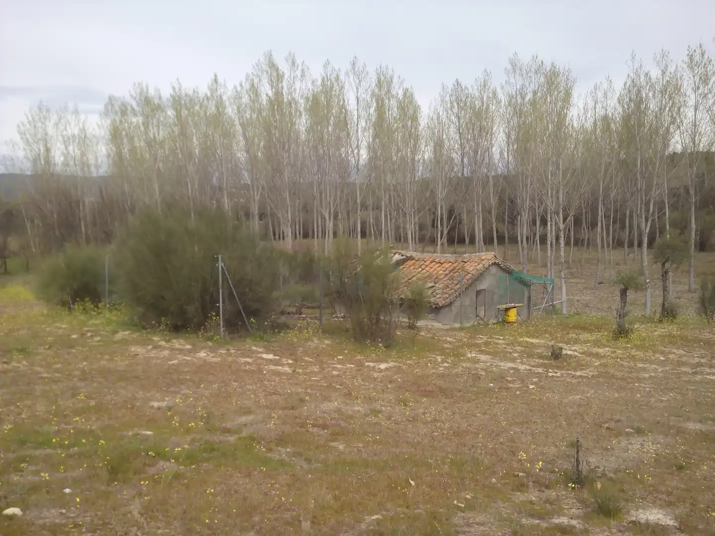 Terreno en venta en Aldea del Fresno