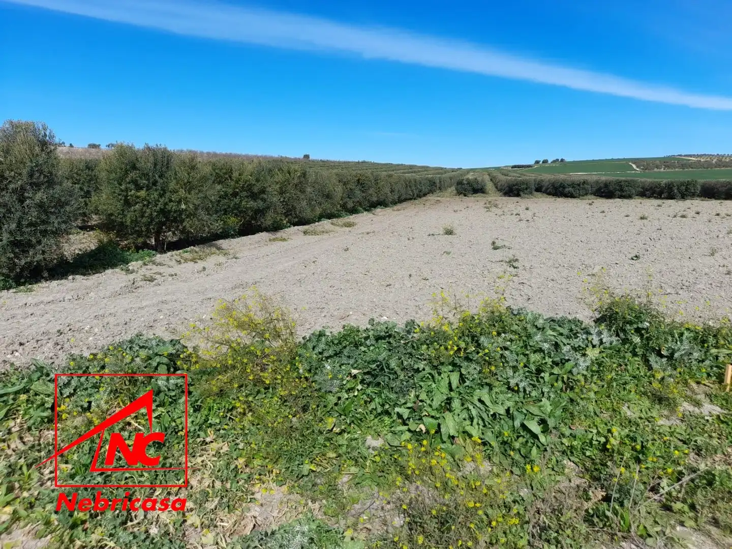 Terreni e lotti in vendita a Lebrija