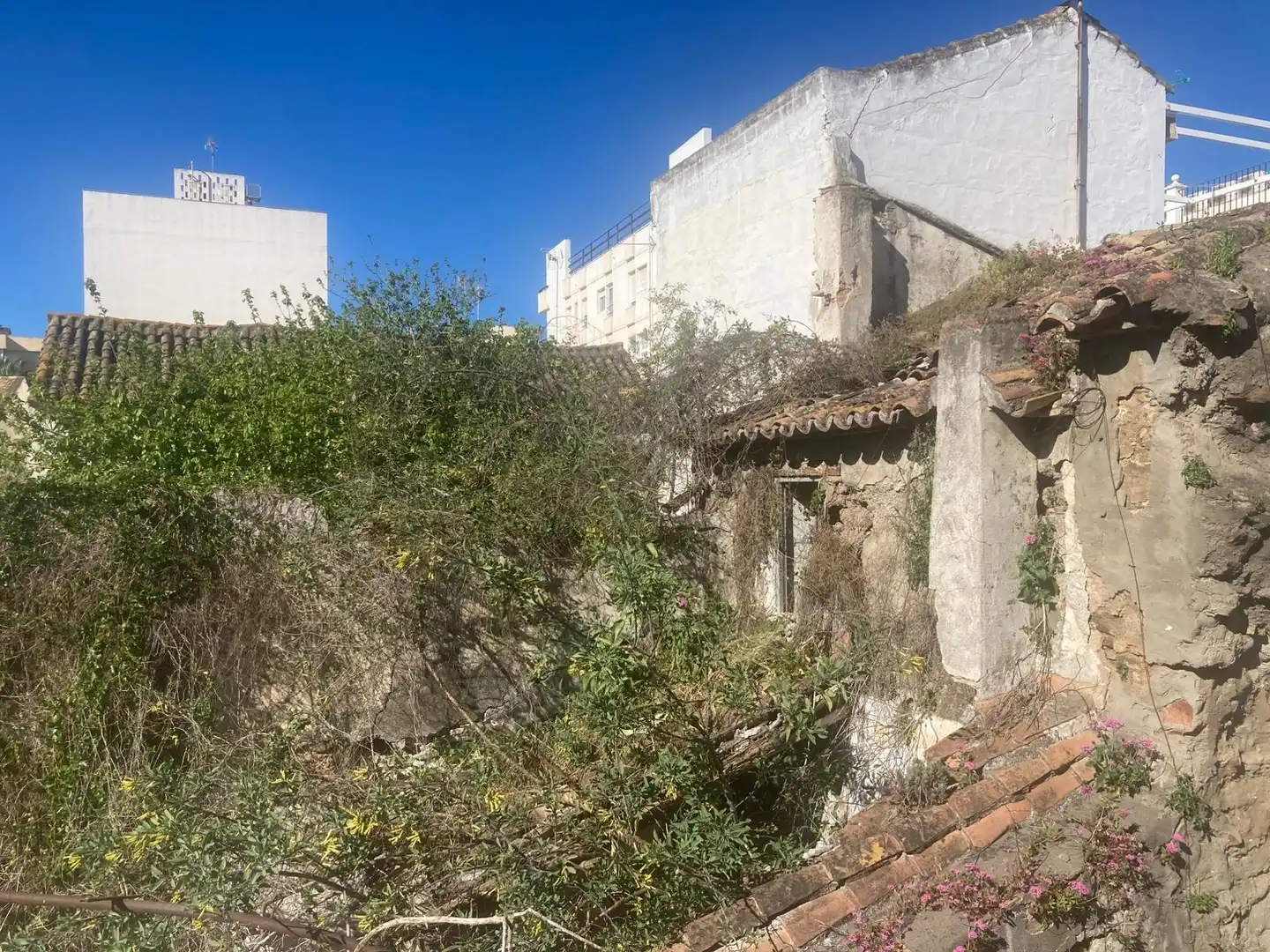 Casa rústica en venta en Estepona Pueblo, imagen 4
