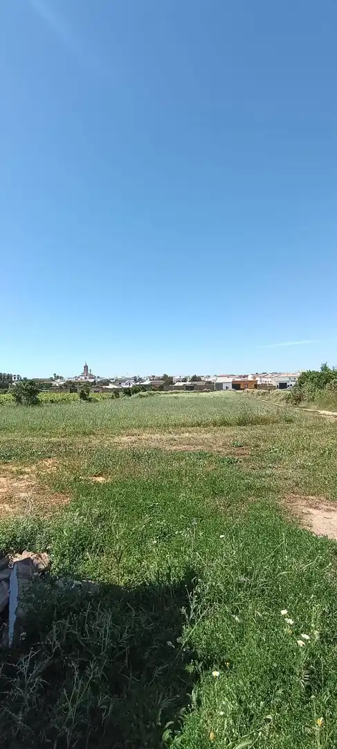Terreny residencial en venda a Villamanrique de la Condesa, imagen 4