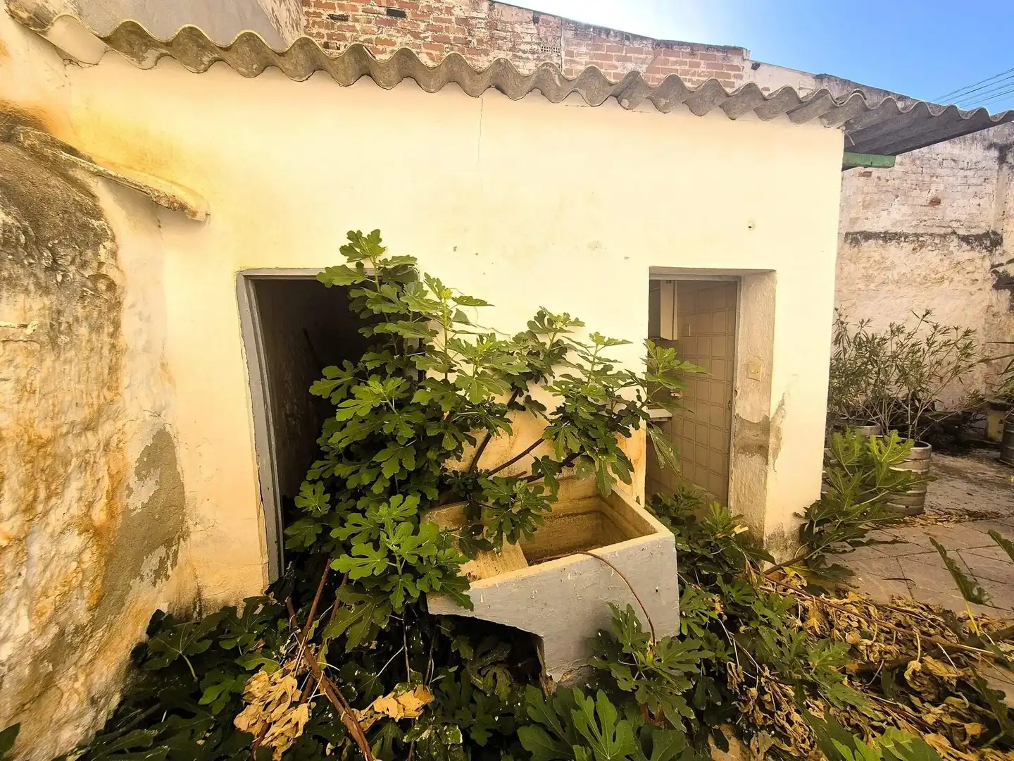 Casa in vendita a Salar, imagen 2
