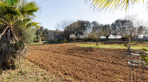 Photo 2 of Country house for sale in Polígono Parcela 120, Zona Periurbana, Inca