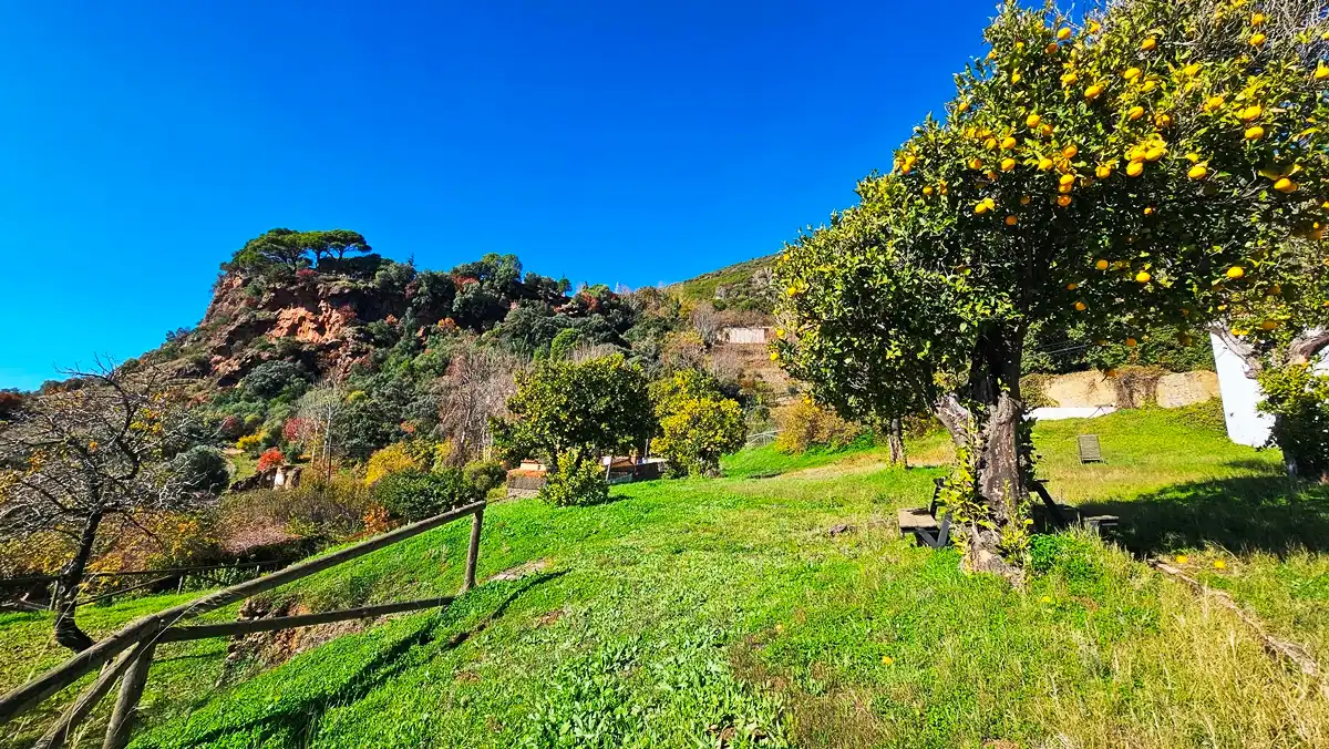 Houses for sale in Alájar  with Heating, Private garden and Terrace