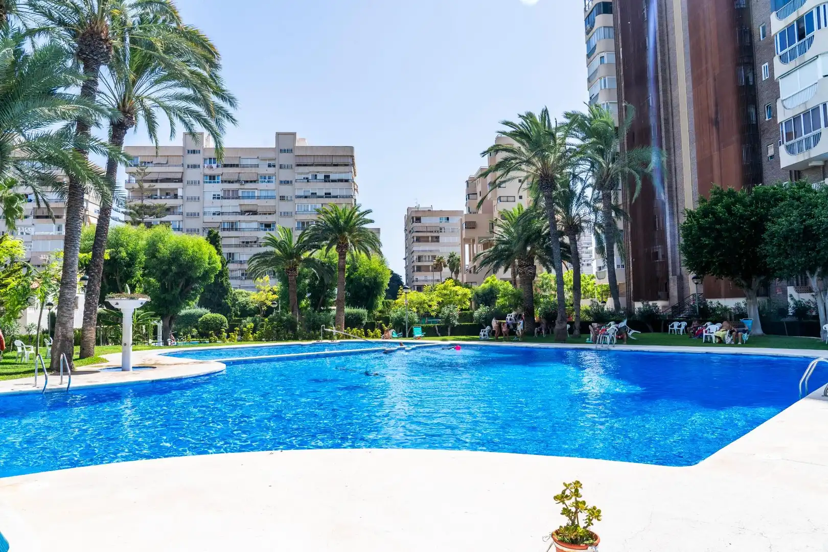 Pis amb piscina en venda a Playa de San Juan - El Cabo de las Huertas, imagen 15