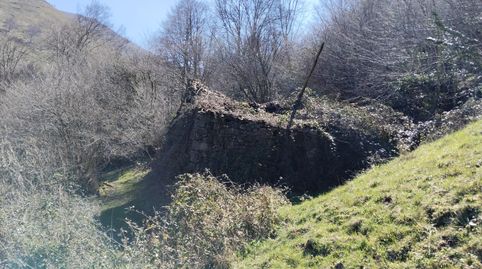 Photo 3 of Commercial properties for sale in El Hortigal, Peñamellera Baja, Asturias