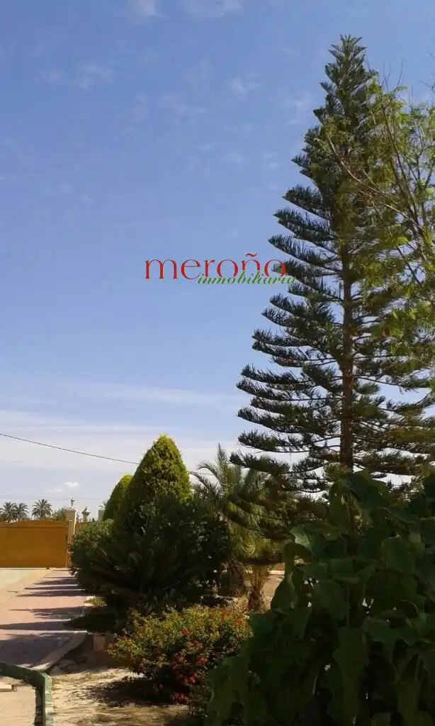 Detached house with garden for sale in Alzabares, imagen 15