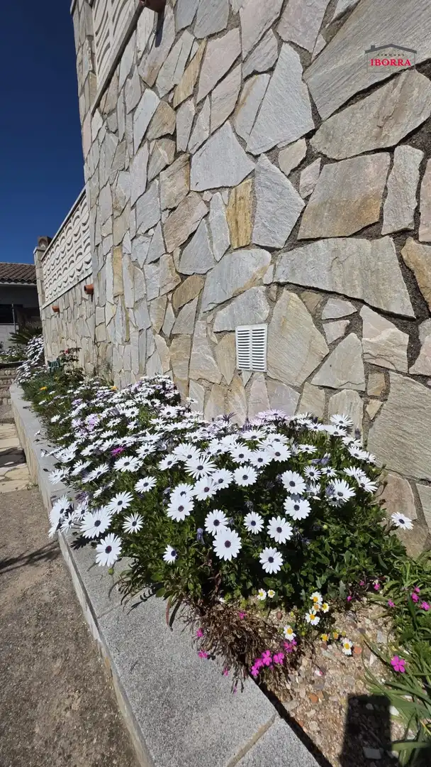 Jardí de Casa o xalet en venda en Tordera amb Jardí privat