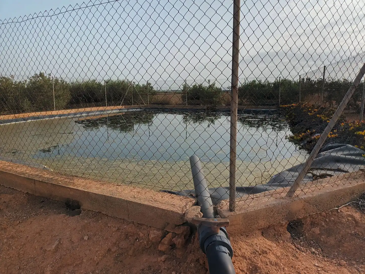 Swimming pool of Houses for sale in Cartagena  with Terrace, Swimming Pool and Furnished