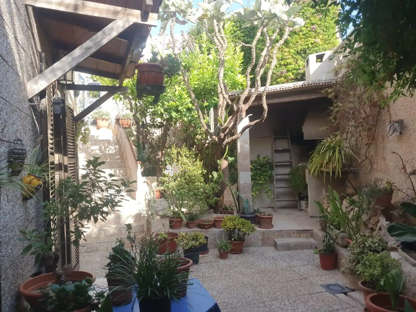 Haus mit Garten zum Verkauf in Platja de Palma, imagen 9