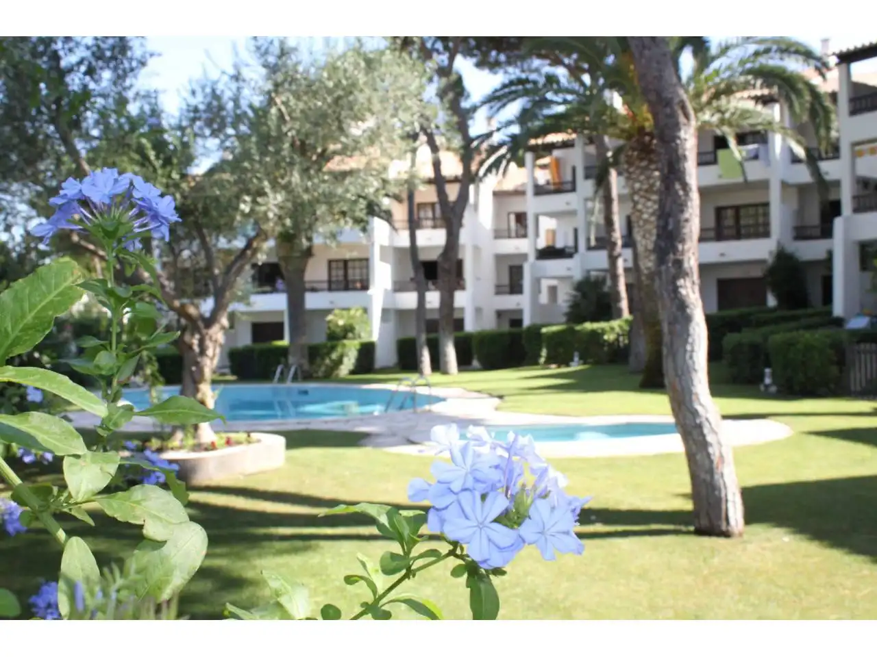 Garden of Flat for sale in L'Escala  with Terrace, Furnished and Community pool