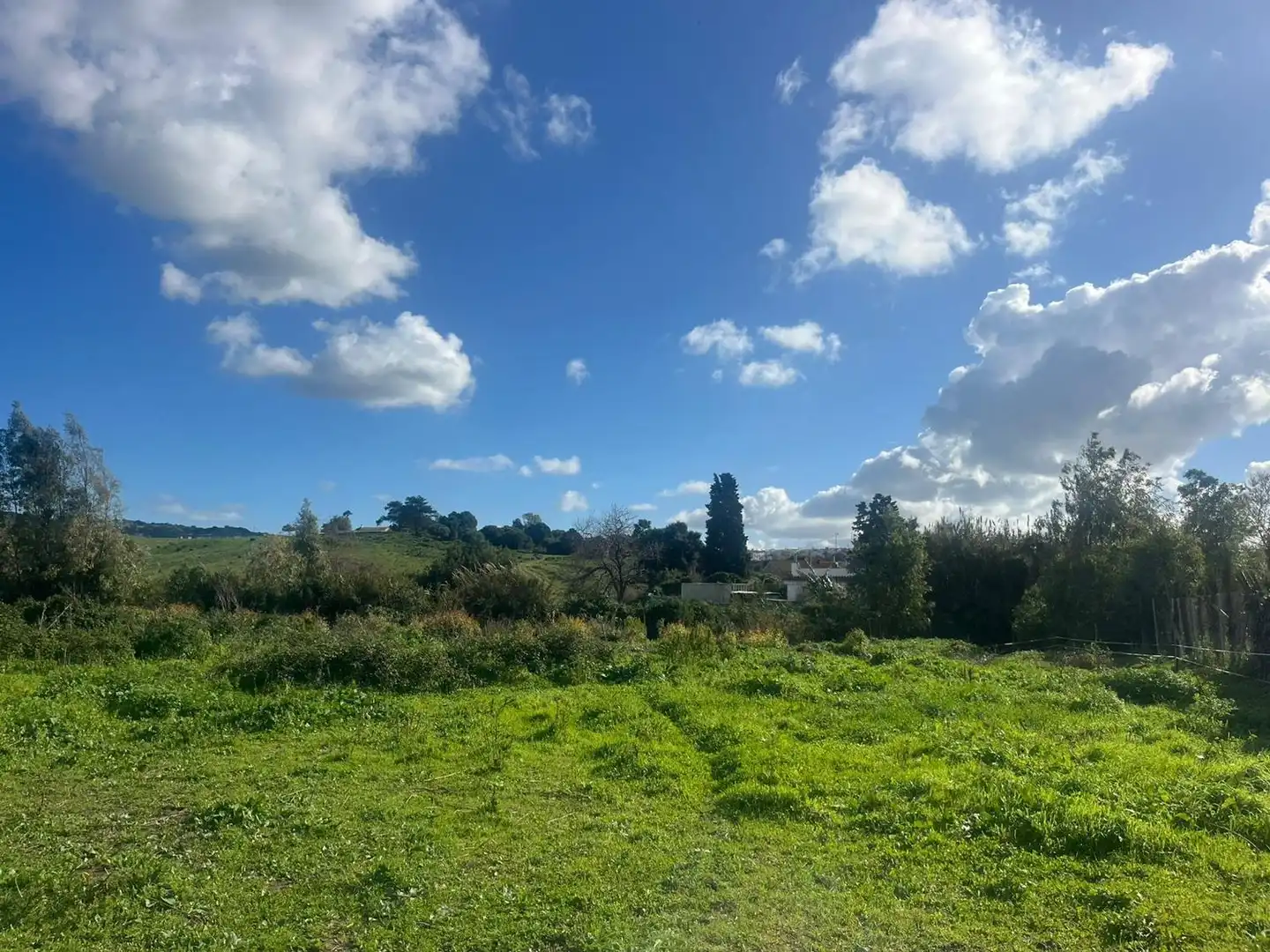 Rustikales Grundstück zum Verkauf in Los Barrios, imagen 6