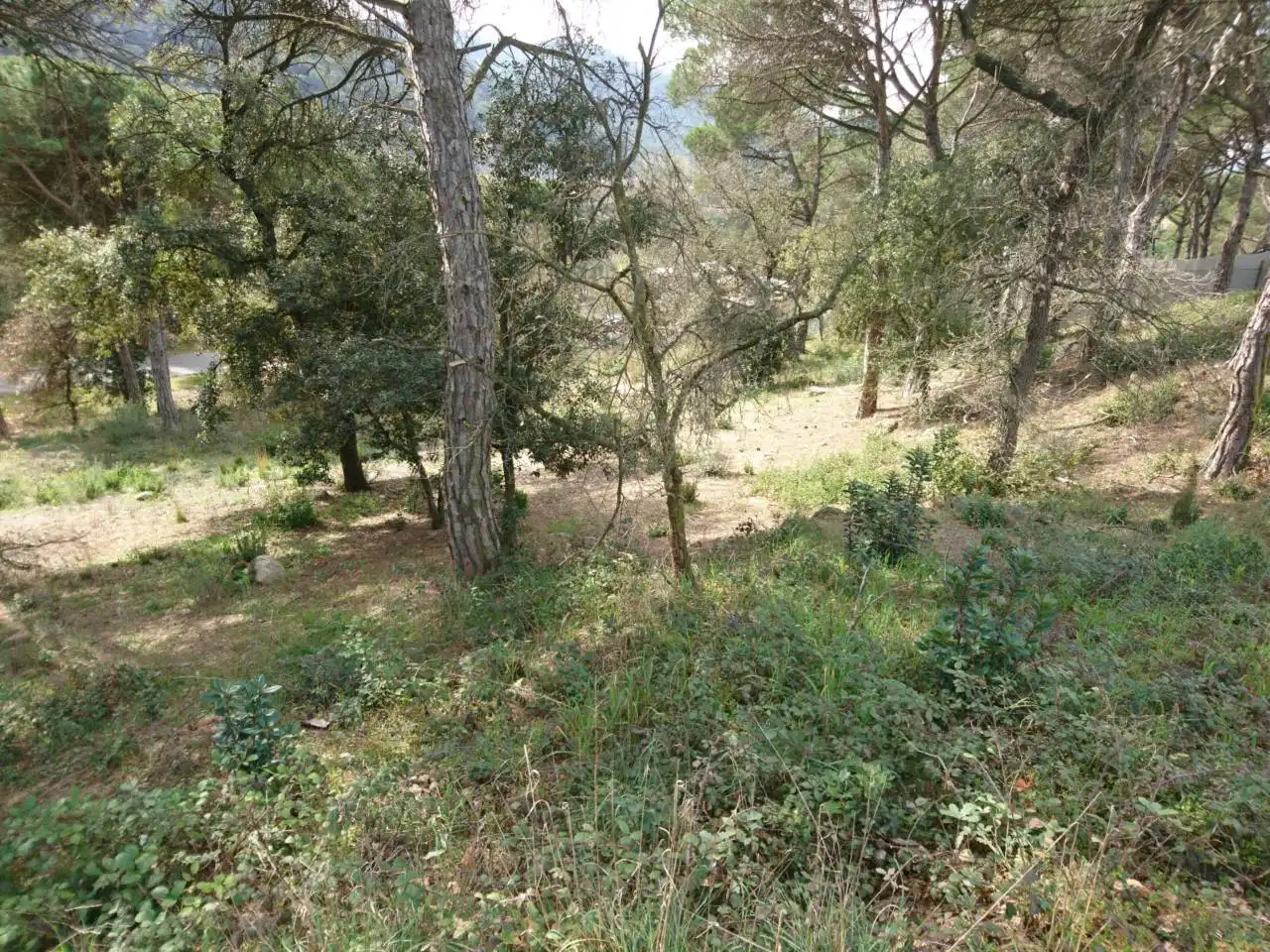 Terreny residencial en venda a Vilanova del Vallès, imagen 15