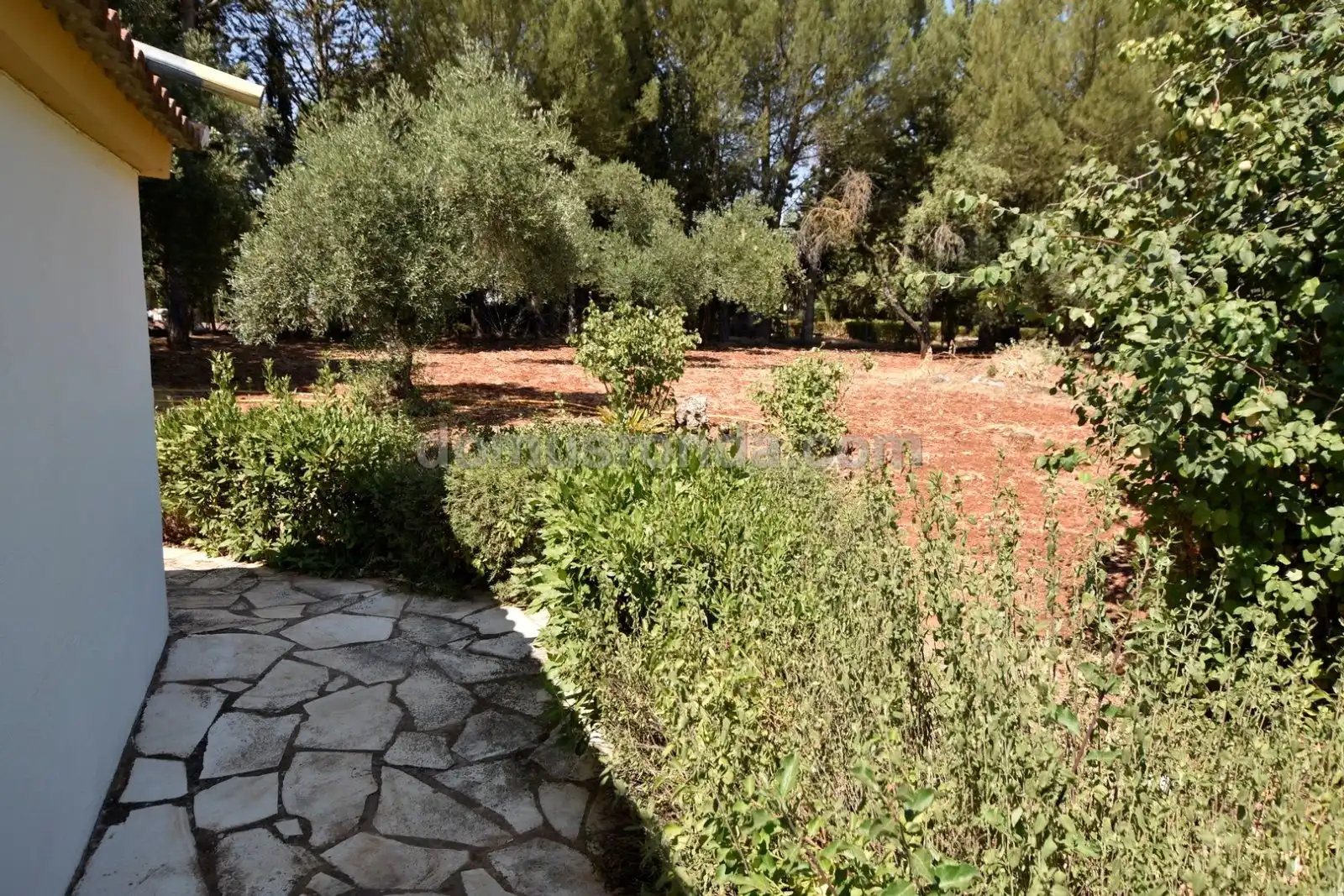 Jardín de Finca rústica en venta en Ronda con Terraza y Amueblado