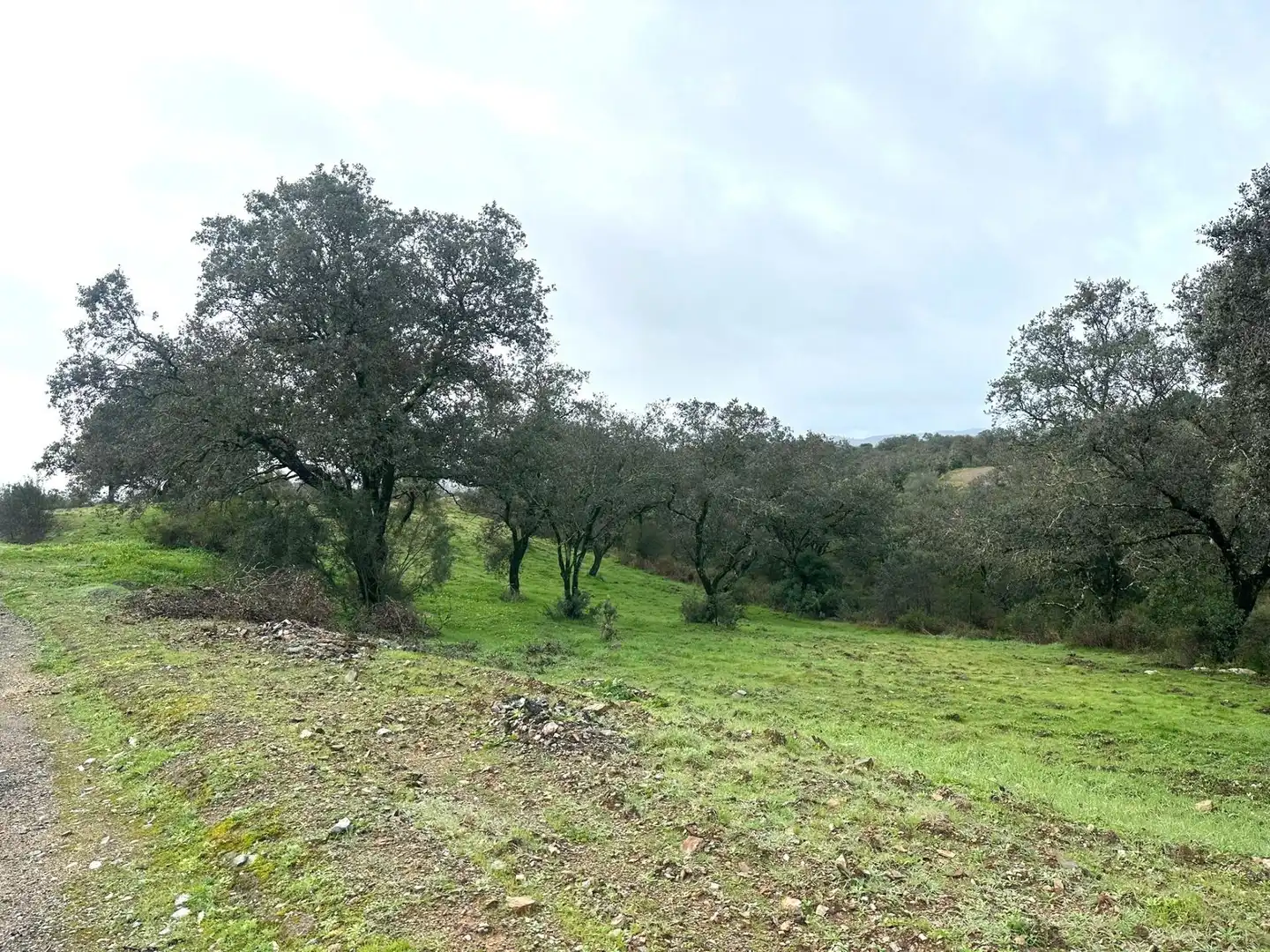 Residential land for sale in Los Lagos
