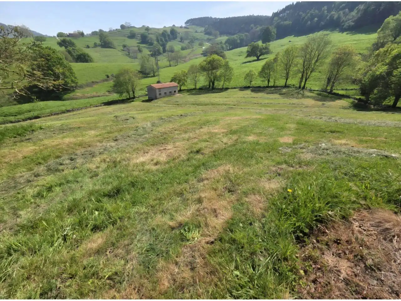 Terrain rustique à vendre à Calle argomeda, imagen 7