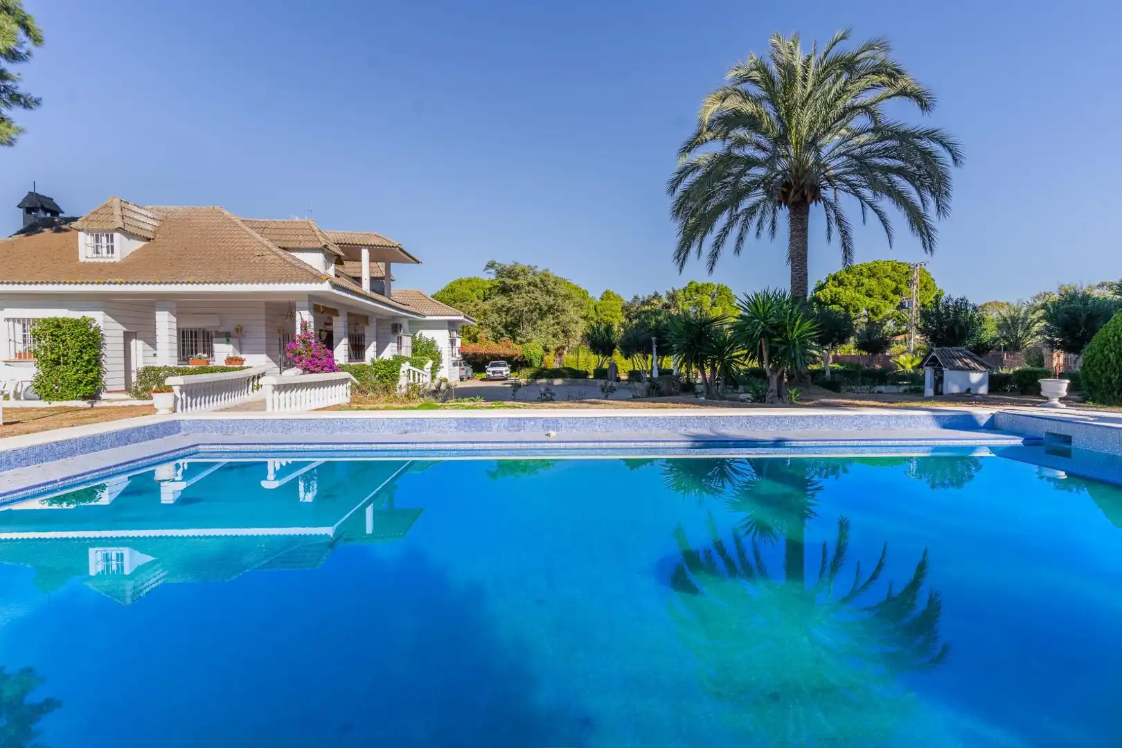 Swimming pool of Houses for sale in Jerez de la Frontera  with Private garden, Swimming Pool and Balcony