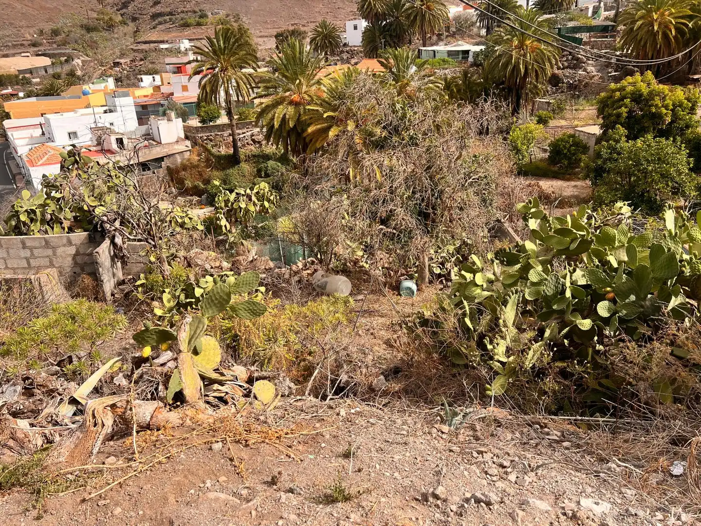 Terreny rústic en venda a Calle los Llanetes, imagen 25