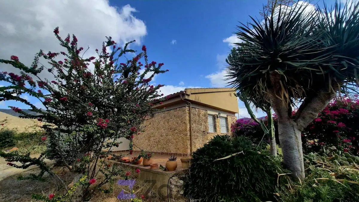 Garden of Houses for rent in Pedanías Oeste