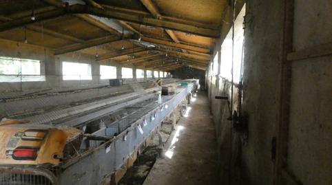 Photo 4 of Industrial buildings to rent in Cabrera, Segorbe, Castellón