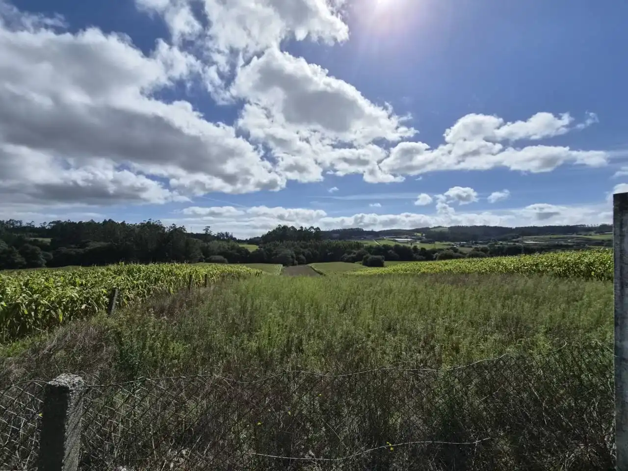 Country homes for sale in Rois  with Private garden, Furnished and Alarm