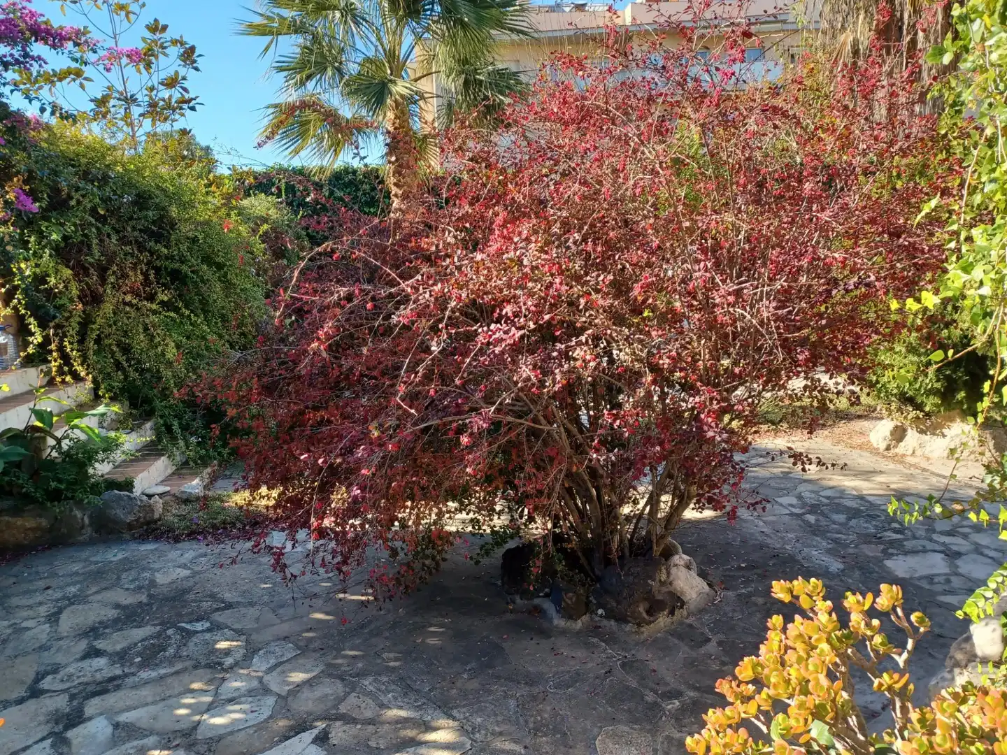 Jardí de Casa o xalet en venda en Cubelles amb Jardí privat