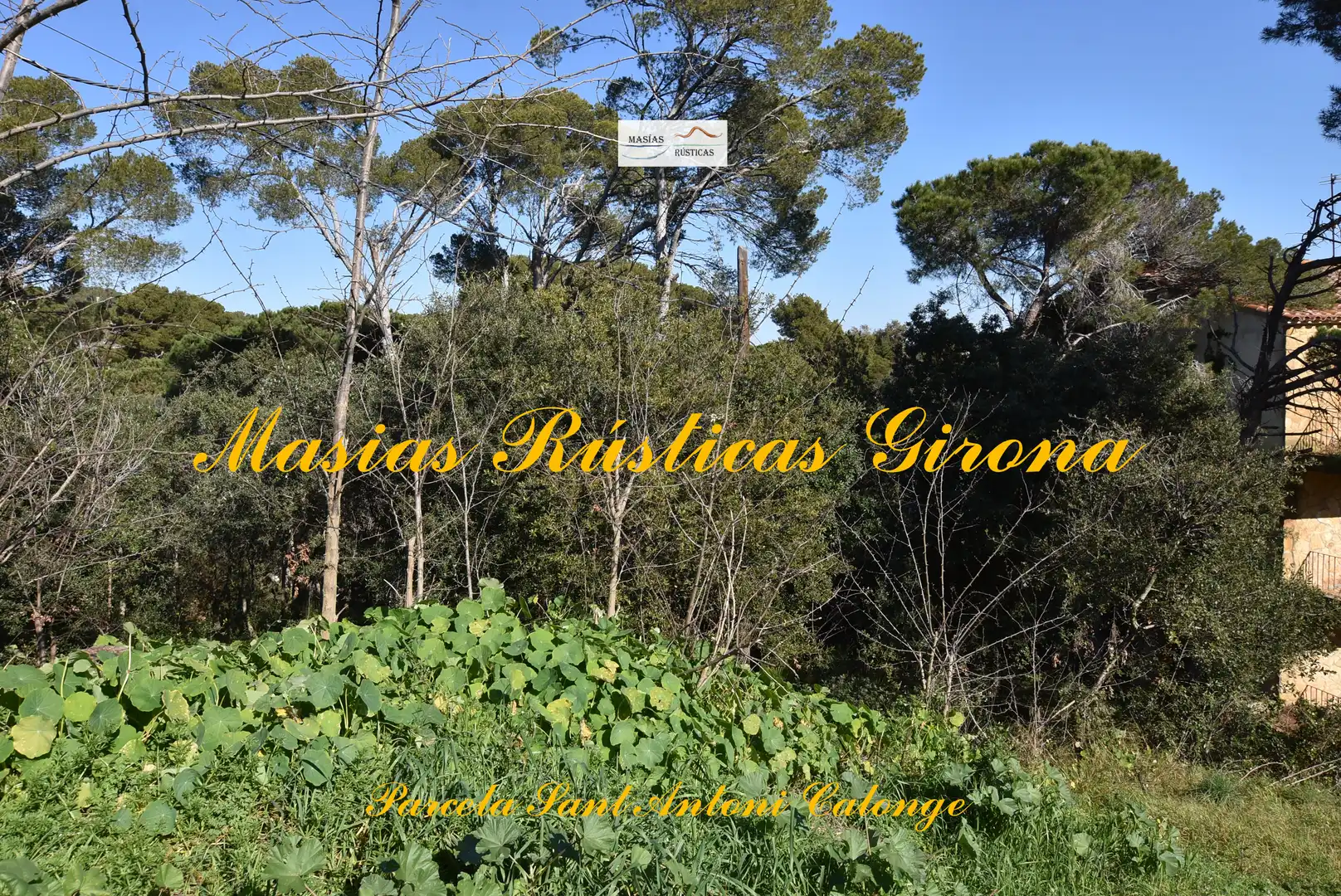 Residential land for sale in Carrer Cadí 6, imagen 7