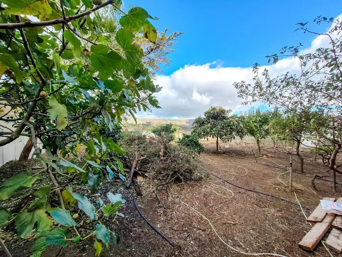 Casa o chalet en venta en Santa Brígida con Jardín privado, Terraza y Trastero
