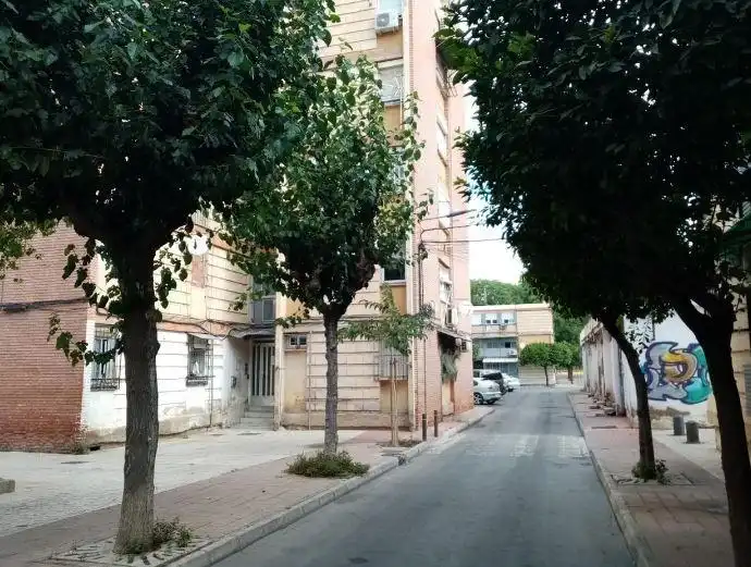 Flat for sale in Barrio Poligono Paz 4, imagen 3