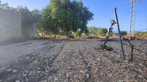 Finca rústica en venta, immagine 2