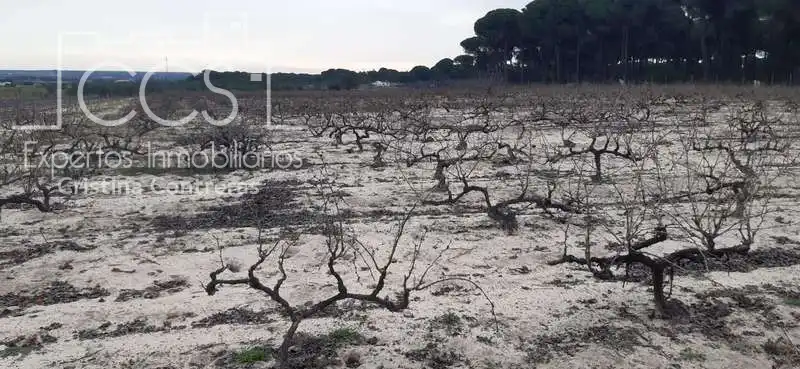Terreni e lotti in vendita a Almonte ciudad, imagen 12