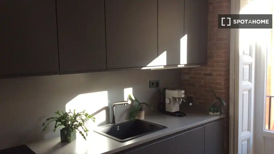 null hab, 40m² en Embajadores - Lavapiés, Centro, Madrid - Image 3