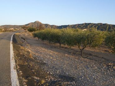 Terreno rustico in vendita a Abanilla