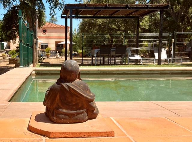 Finca rústica en Venta en  Polígono 4 parcela 263 en Los Marines